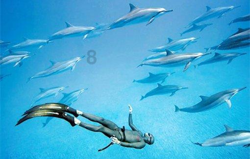梦幻西游3D
